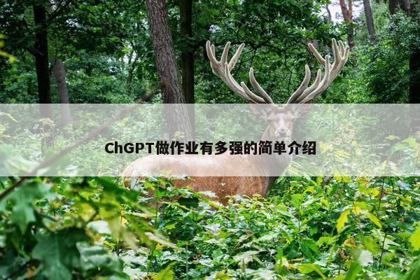 ChGPT做作业有多强的简单介绍