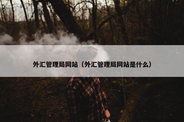 外汇管理局网站（外汇管理局网站是什么）