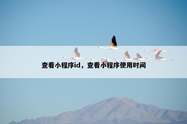 查看小程序id，查看小程序使用时间