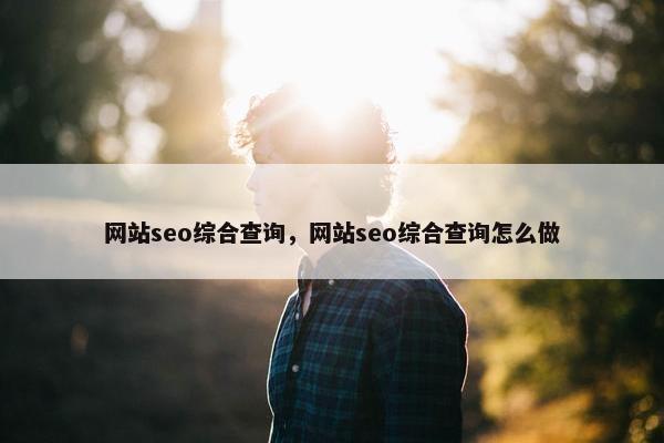 网站seo综合查询，网站seo综合查询怎么做