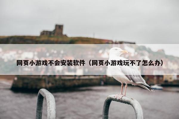 网页小游戏不会安装软件（网页小游戏玩不了怎么办）