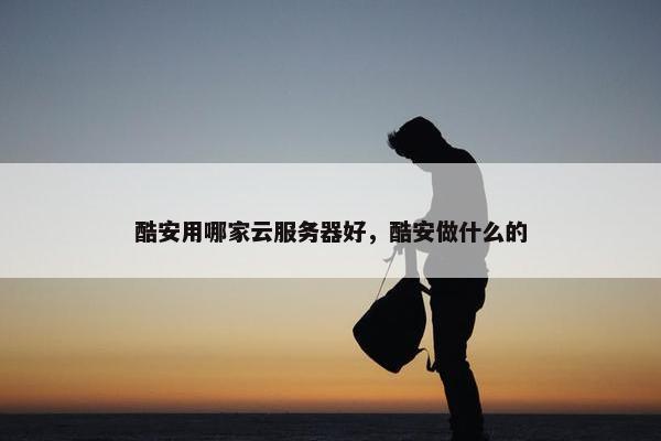 酷安用哪家云服务器好，酷安做什么的