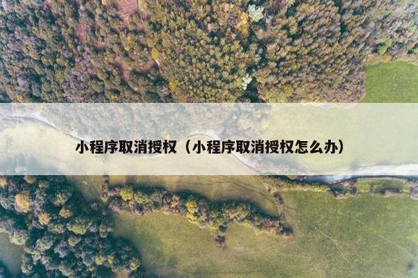 小程序取消授权（小程序取消授权怎么办）