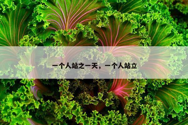 一个人站之一天，一个人站立