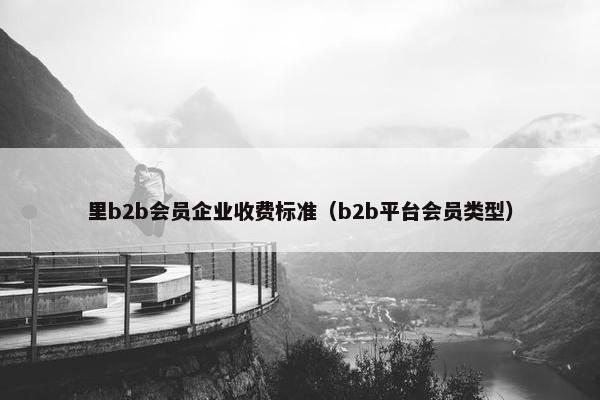 里b2b会员企业收费标准（b2b平台会员类型）