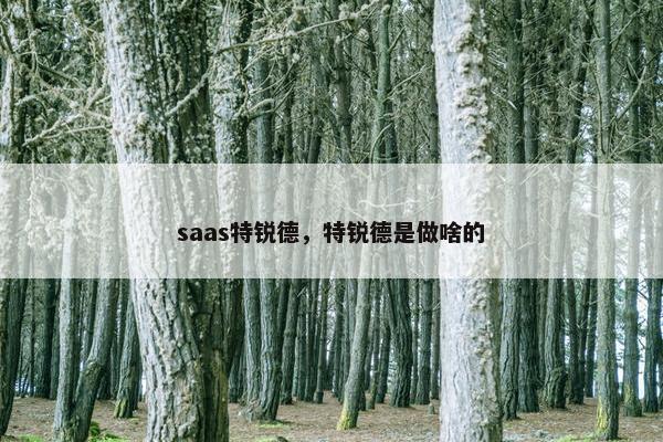 saas特锐德，特锐德是做啥的