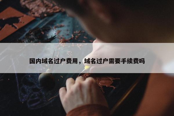 国内域名过户费用，域名过户需要手续费吗