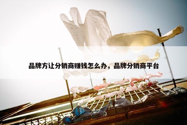 品牌方让分销商赚钱怎么办，品牌分销商平台