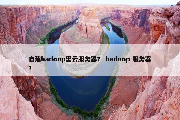 自建hadoop里云服务器？ hadoop 服务器？