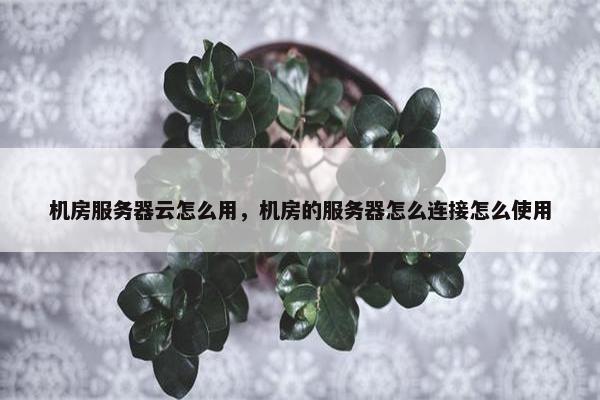 机房服务器云怎么用，机房的服务器怎么连接怎么使用