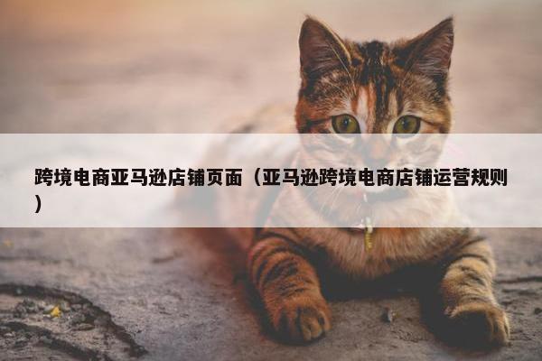 跨境电商亚马逊店铺页面（亚马逊跨境电商店铺运营规则）