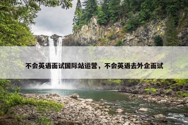 不会英语面试国际站运营，不会英语去外企面试