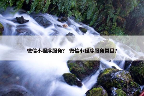 微信小程序服务？ 微信小程序服务类目？