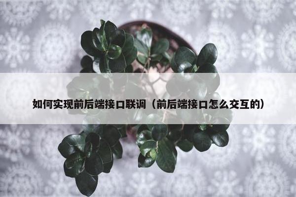 如何实现前后端接口联调（前后端接口怎么交互的）