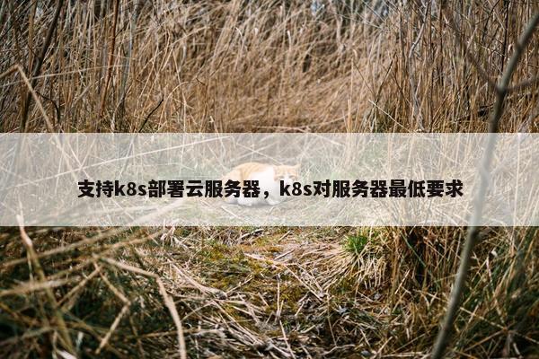 支持k8s部署云服务器，k8s对服务器最低要求