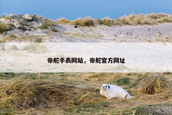 帝舵手表网站，帝舵官方网址