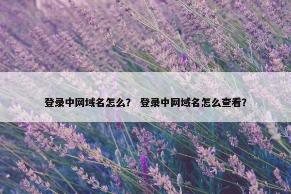 登录中网域名怎么？ 登录中网域名怎么查看？