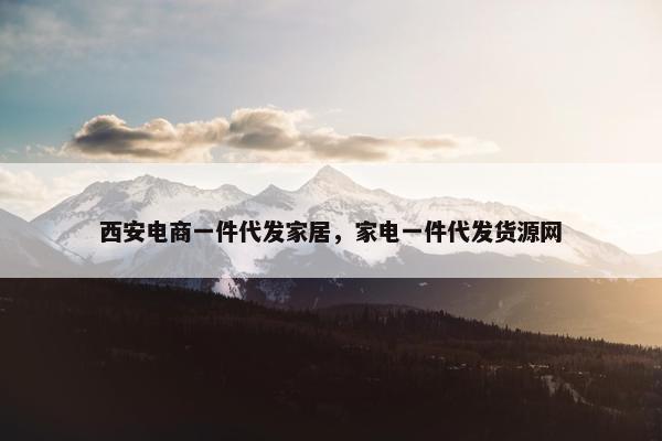 西安电商一件代发家居，家电一件代发货源网