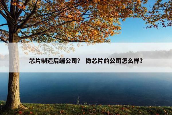 芯片制造后端公司？ 做芯片的公司怎么样？