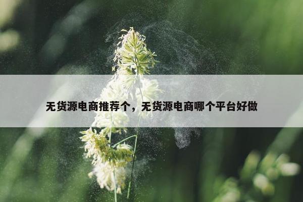 无货源电商推荐个，无货源电商哪个平台好做
