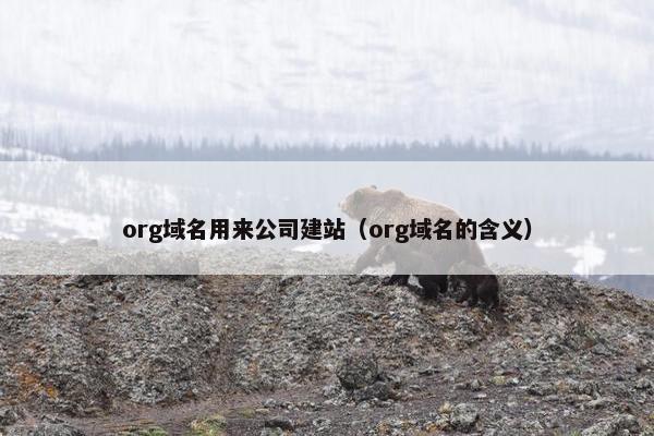 org域名用来公司建站（org域名的含义）