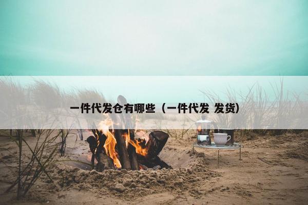 一件代发仓有哪些（一件代发 发货）