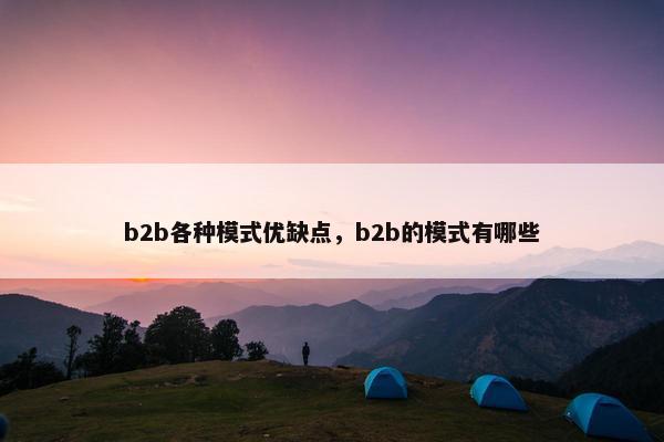 b2b各种模式优缺点，b2b的模式有哪些
