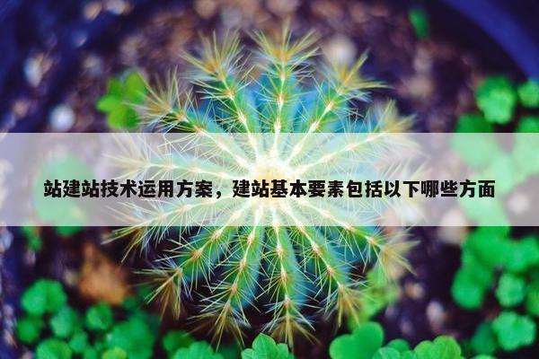 站建站技术运用方案，建站基本要素包括以下哪些方面