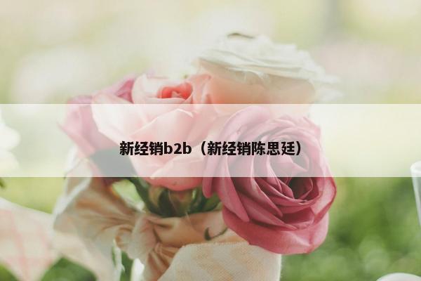 新经销b2b（新经销陈思廷）