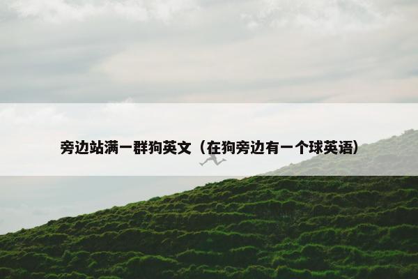 旁边站满一群狗英文（在狗旁边有一个球英语）
