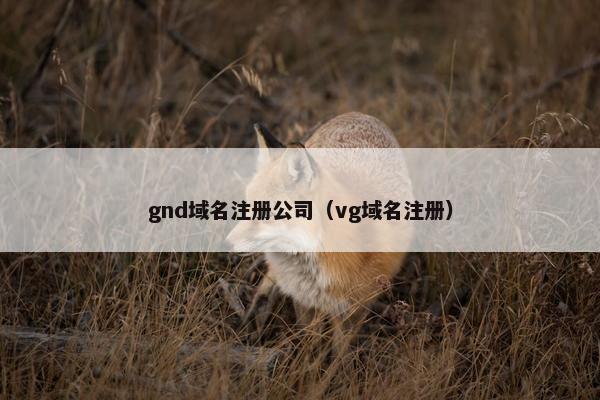 gnd域名注册公司（vg域名注册）