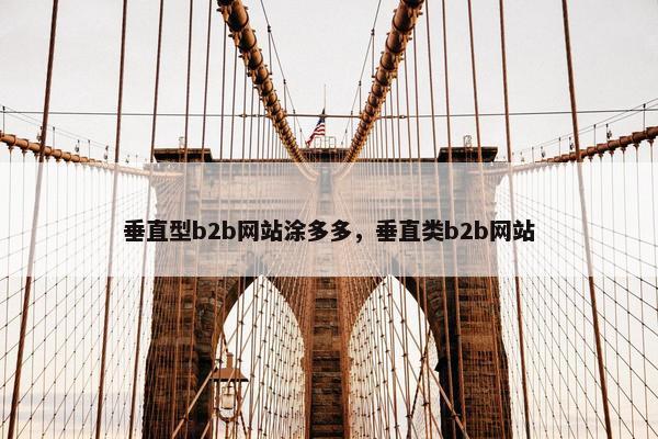垂直型b2b网站涂多多，垂直类b2b网站