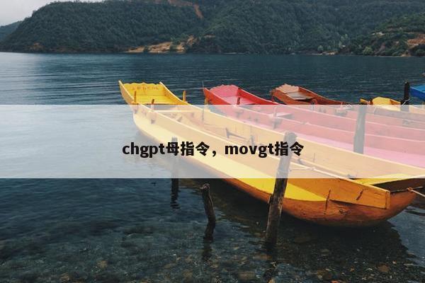 chgpt母指令，movgt指令