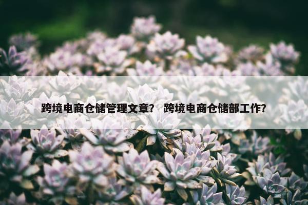 跨境电商仓储管理文章？ 跨境电商仓储部工作？