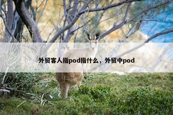 外贸客人指pod指什么，外贸中pod