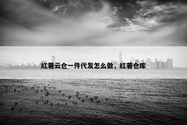 红薯云仓一件代发怎么做，红薯仓库