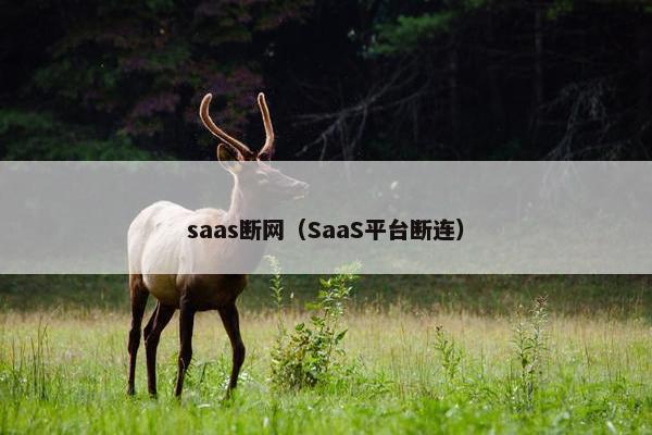 saas断网（SaaS平台断连）
