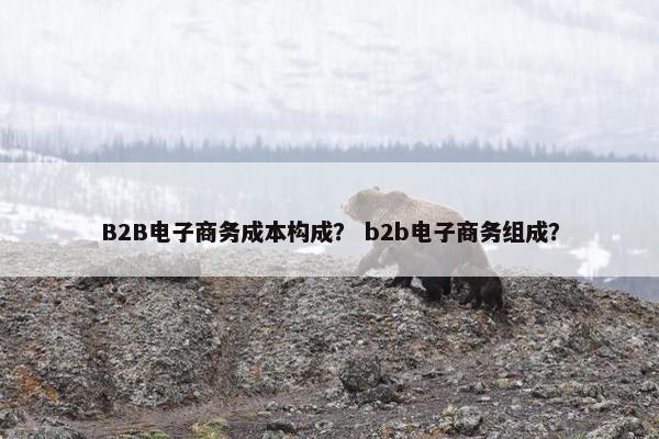 B2B电子商务成本构成？ b2b电子商务组成？
