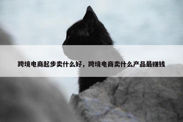 跨境电商起步卖什么好，跨境电商卖什么产品最赚钱