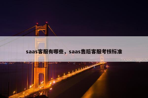 saas客服有哪些，saas售后客服考核标准
