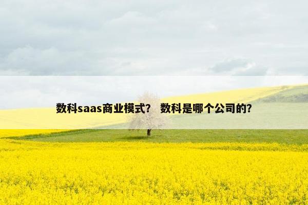 数科saas商业模式？ 数科是哪个公司的？