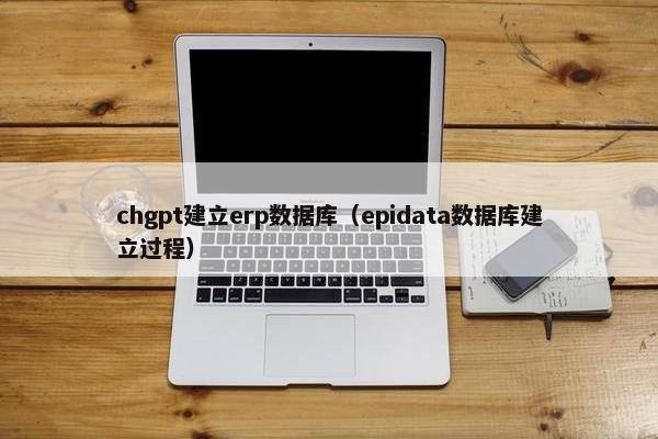 chgpt建立erp数据库（epidata数据库建立过程）