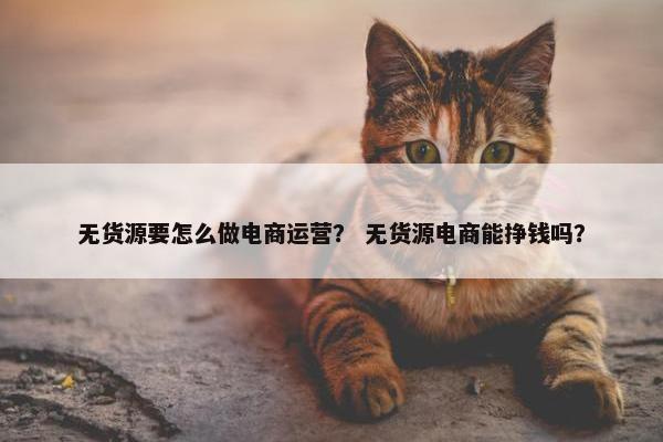 无货源要怎么做电商运营？ 无货源电商能挣钱吗？