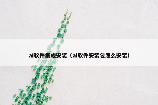 ai软件集成安装（ai软件安装包怎么安装）