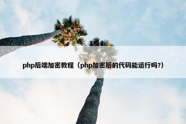 php后端加密教程（php加密后的代码能运行吗?）