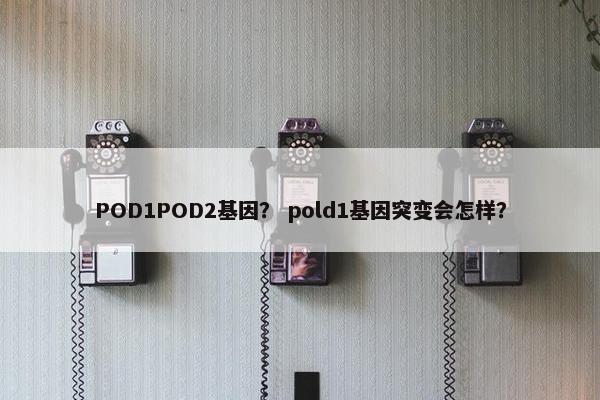 POD1POD2基因？ pold1基因突变会怎样？