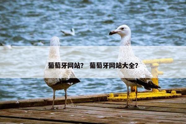 葡萄牙网站？ 葡萄牙网站大全？