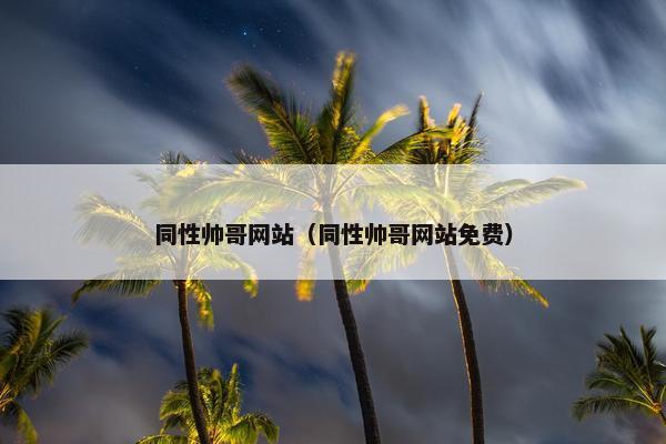 同性帅哥网站（同性帅哥网站免费）