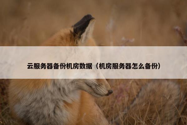 云服务器备份机房数据（机房服务器怎么备份）