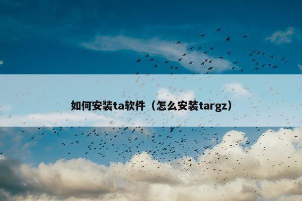 如何安装ta软件（怎么安装targz）